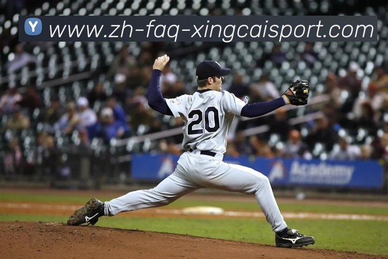 杏彩体育APP 封面图